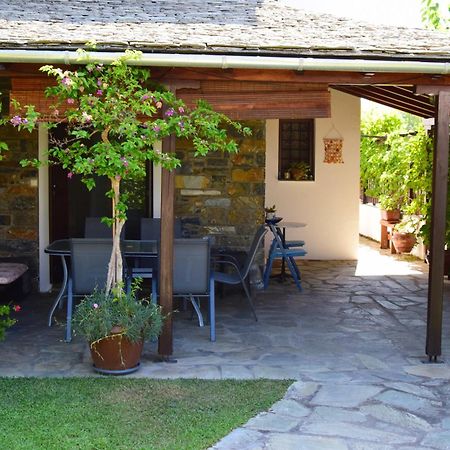 Villa Starfish Koropi Exterior foto