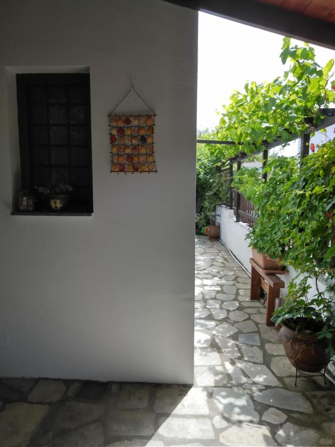 Villa Starfish Koropi Exterior foto